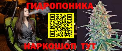 мяу мяу мука Севастополь