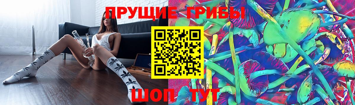 Псилоцибиновые грибы Cubensis Новодвинск