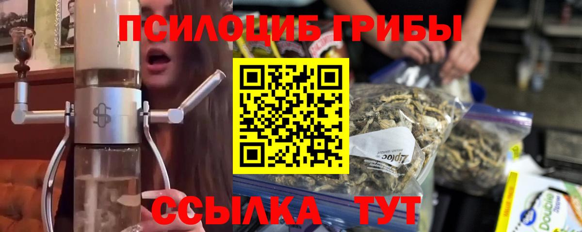 Новодвинск  что такое   Галлюциногенные грибы прущие грибы  Вход с VPN  Галлюциногенные грибы мицелий 